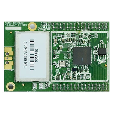 Keystone DAB DAB+ FM T4B-6620VDB Module (5 in a pack)